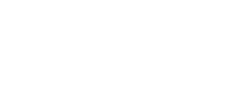 Internet Security Auditors